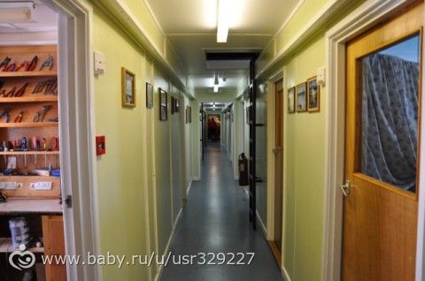 6 февраля (День в истории) - Украинцы в Антарктиде