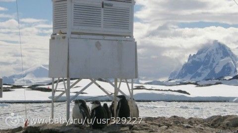 6 февраля (День в истории) - Украинцы в Антарктиде