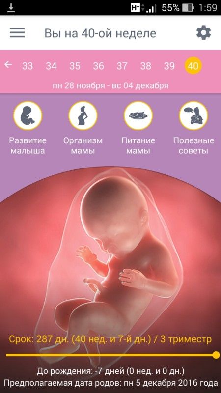 Рассчитать по неделям беременна 60