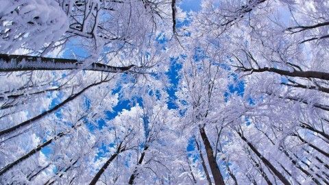 картинки на экран рабочего стола зима в хорошем качестве №482128 картинки на экран рабочего стола зима № 482127 бесплатно