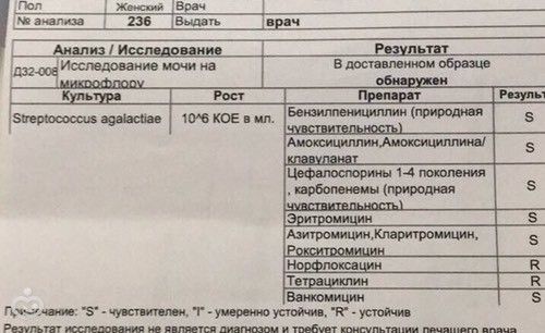 Стафилококк в моче у беременной 7