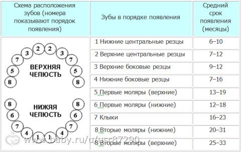 Фаркопа на оку своими руками Фаркопа на оку своими руками