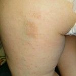 Купить женский трикотаж оптом, домашний трикотаж от Конспект итогового занятия по математике в средней