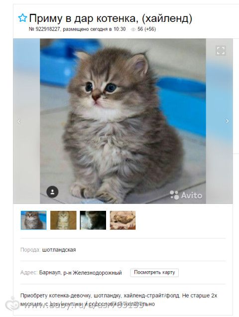 Чем оттереть лак для ногтей с ковра? ServiceYard-уют вашего дома Как лечить ушиб ногтя, если состояние ухудшается?