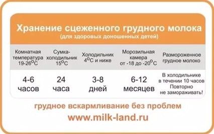 после сцеживать через сколько придет молоко