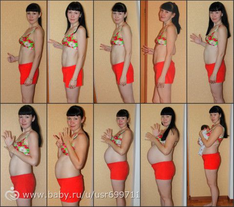 Фотоколлаж беременных с 1 по 9 месяц 9