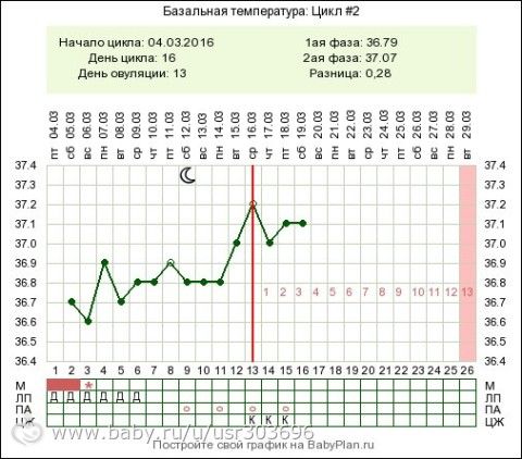 Зачатие в овуляцию проценты Зачатие в овуляцию проценты