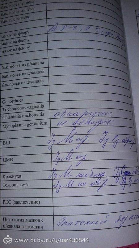 Луковичные цветы в домашних условиях: описание и фото от А до «Сонник Цветок приснился, к чему снится во сне Цветок»