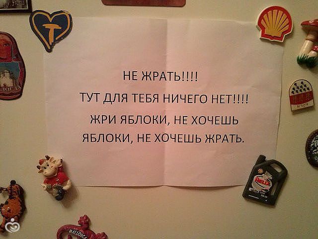 Стих на холодильник что бы не есть Стих на холодильник что бы не есть