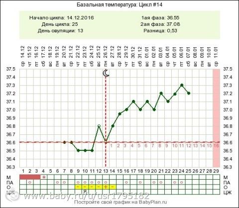 Женские консультации 1;2;3 ЖК на Жемчужном проезде. К какому врачу лучше пойти на учет по