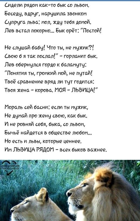 Стих во мне львица Стих во мне львица