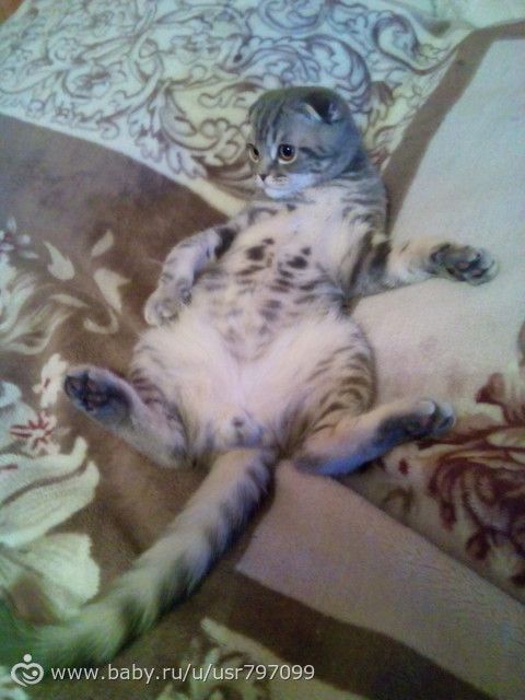 Хороший стишок)