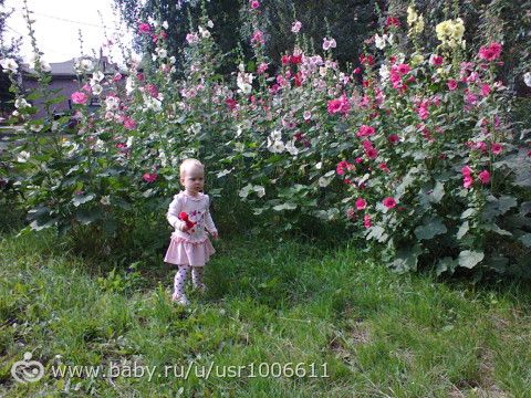 21.07 вторник