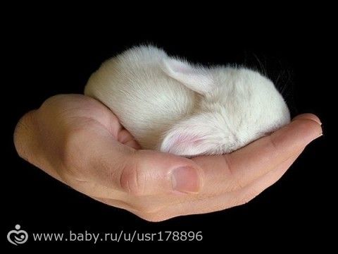 Считанные деньки моей беременности....