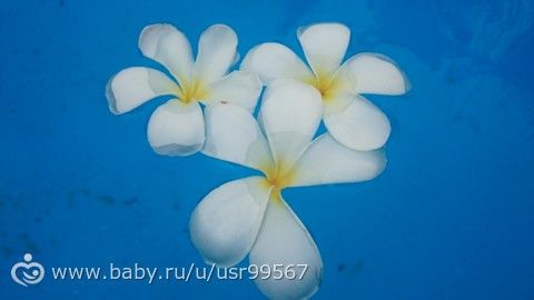 8 часть. Таиланд. Заключительная (фото)