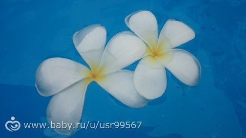 8 часть. Таиланд. Заключительная (фото)