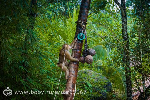 8 часть. Таиланд. Заключительная (фото)