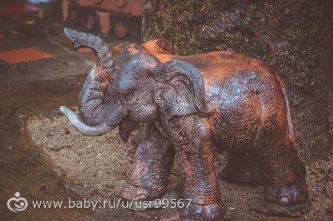 8 часть. Таиланд. Заключительная (фото)