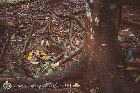 8 часть. Таиланд. Заключительная (фото)