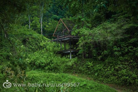8 часть. Таиланд. Заключительная (фото)