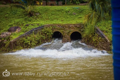 8 часть. Таиланд. Заключительная (фото)