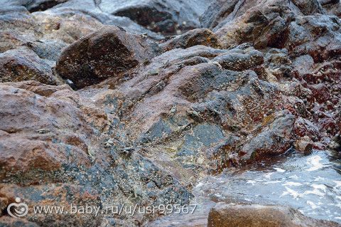 8 часть. Таиланд. Заключительная (фото)