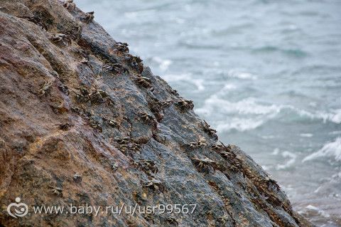 8 часть. Таиланд. Заключительная (фото)