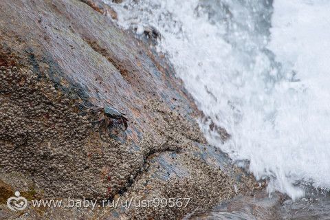 8 часть. Таиланд. Заключительная (фото)