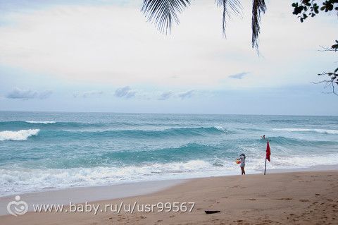 8 часть. Таиланд. Заключительная (фото)
