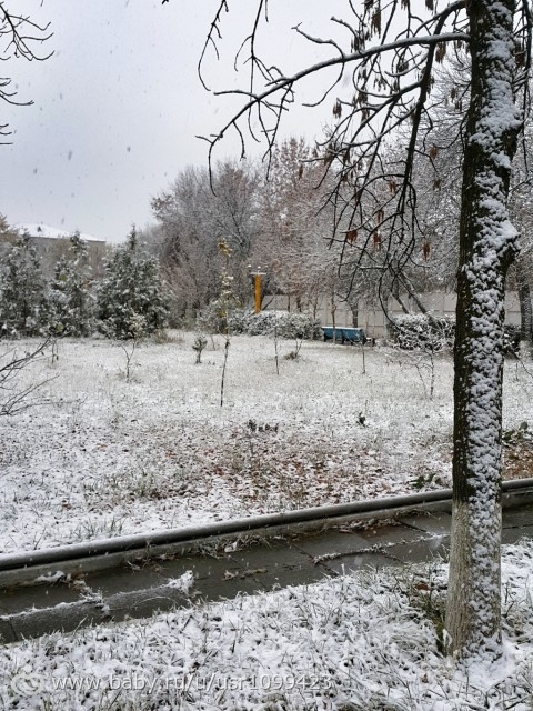 Немного новостей (фотопост)