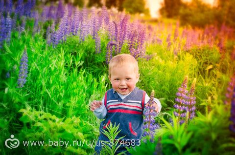 В фиолетовых цветах