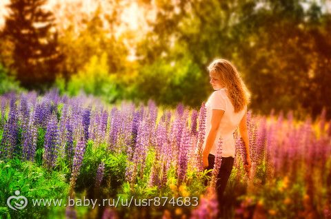 В фиолетовых цветах