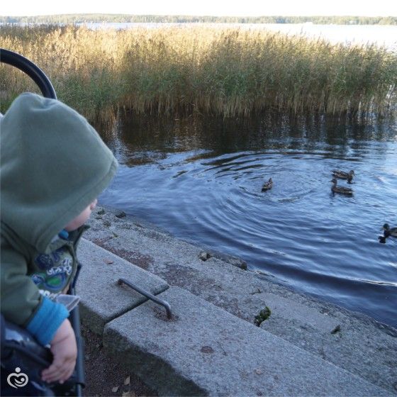 Большое пустешествие маленького человечка.