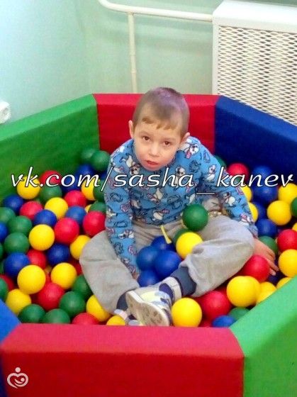 Новости Саши Канева 20 декабря 2016 года. Трудимся в поте лица!