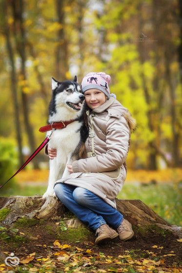 Мини фотопроект с хаски) Фотопост.