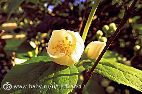 ФОТО-КРИТИК!!! Девятый участник) Мое небольшое дополнение)