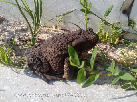 ОТЧЕТ ПО МАРАФОНУ &amp;amp;quot;ЛЕТНИЙ ДЕНЬ&amp;amp;quot;