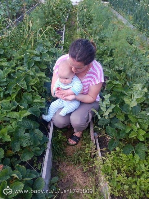 ОТЧЕТ ПО МАРАФОНУ &amp;amp;quot;ЛЕТНИЙ ДЕНЬ&amp;amp;quot;