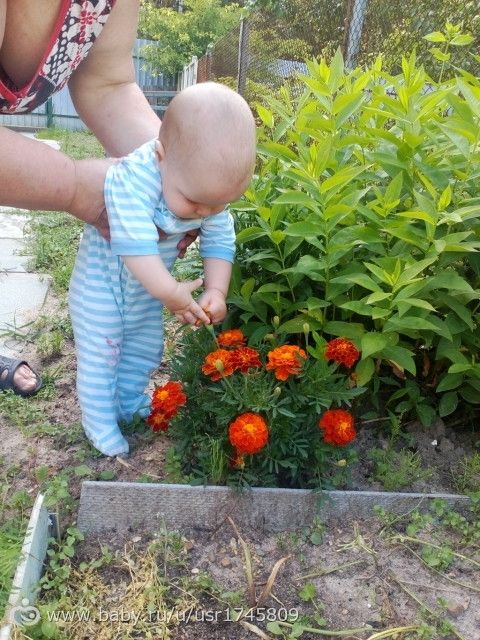 ОТЧЕТ ПО МАРАФОНУ &amp;amp;quot;ЛЕТНИЙ ДЕНЬ&amp;amp;quot;