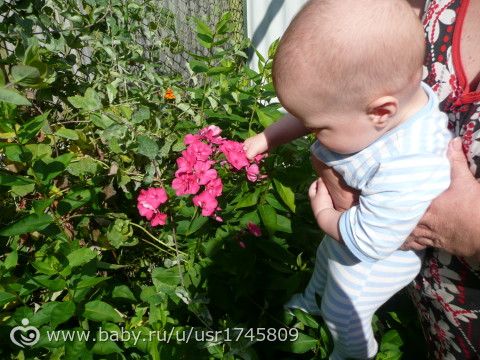 ОТЧЕТ ПО МАРАФОНУ &amp;amp;quot;ЛЕТНИЙ ДЕНЬ&amp;amp;quot;