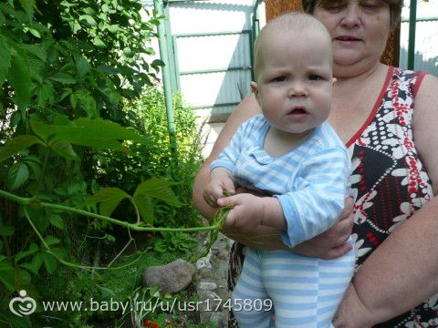 ОТЧЕТ ПО МАРАФОНУ &amp;amp;quot;ЛЕТНИЙ ДЕНЬ&amp;amp;quot;