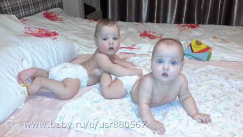 Наши вишенки