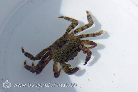 Наше путешествие. Кипр (г. Протарас)