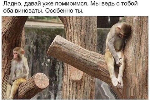 Отношения с мужем Отношения с мужем