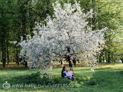 Весенние фотосессии в парках!