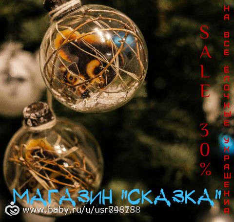 Фото комнатный цветок с узкими зелеными листьями Фото комнатный цветок с узкими зелеными листьями