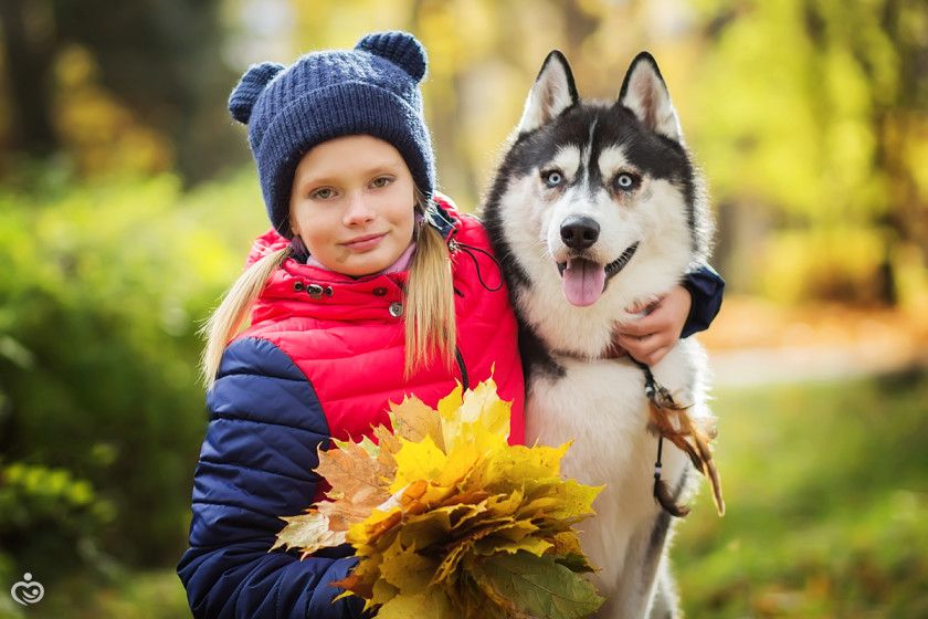 Мини фотопроект с хаски) Фотопост.