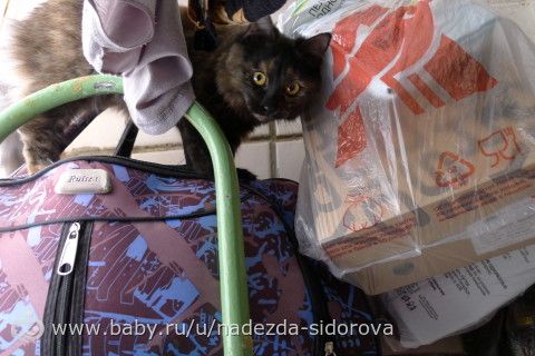 наша девочка! много фоток!
