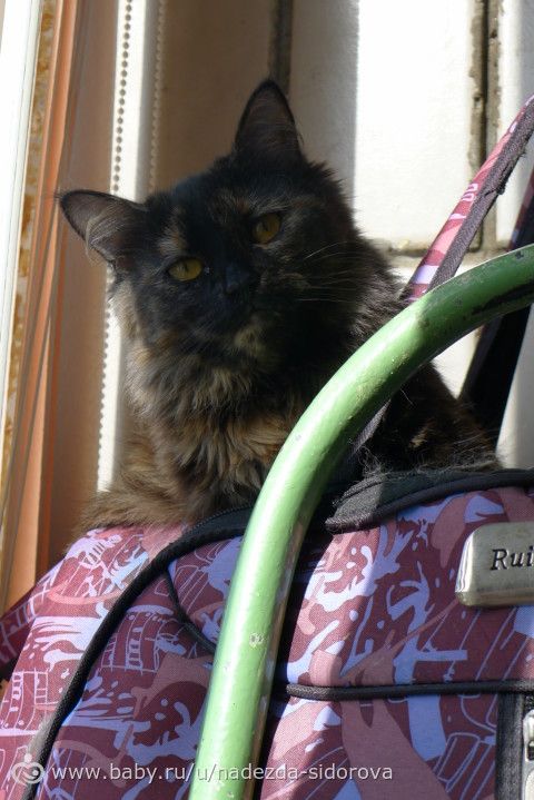 наша девочка! много фоток!
