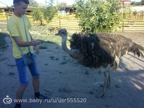 Наш отпуск. Фото.